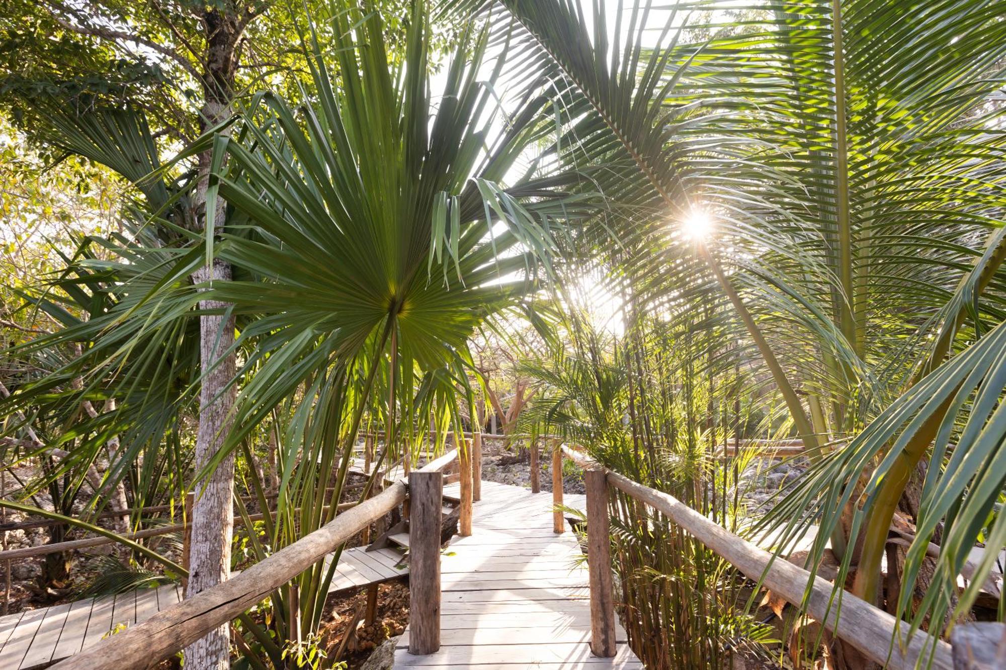 Villa Pepem Holistic Experience - Adults Only à Tulum Extérieur photo